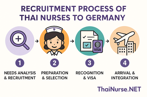 Illustration of the ThaiNurse.NET recruitment process with the steps Needs Analysis & Recruitment, Preparation & Selection, Recognition & Visa, and Arrival & Integration