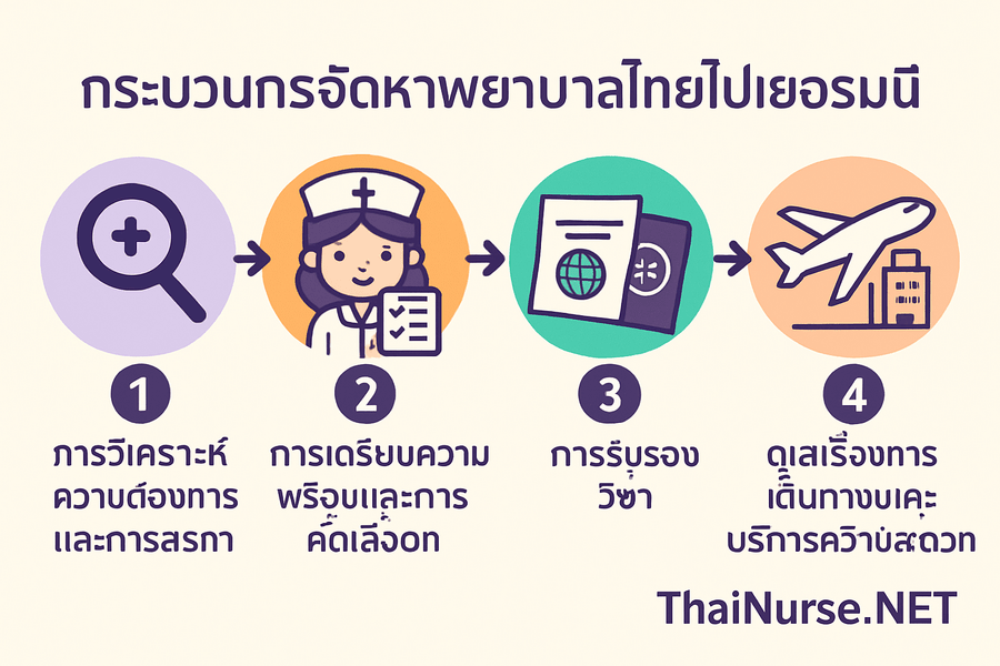 การแสดงภาพของกระบวนการจัดหางานของ ThaiNurse.NET ด้วยขั้นตอนการวิเคราะห์ความต้องการและการสรรหา การเตรียมความพร้อมและการคัดเลือก การรับรองวีซ่า และดูแลเรื่องการเดินทางและบริการความสะดวกต่างๆ